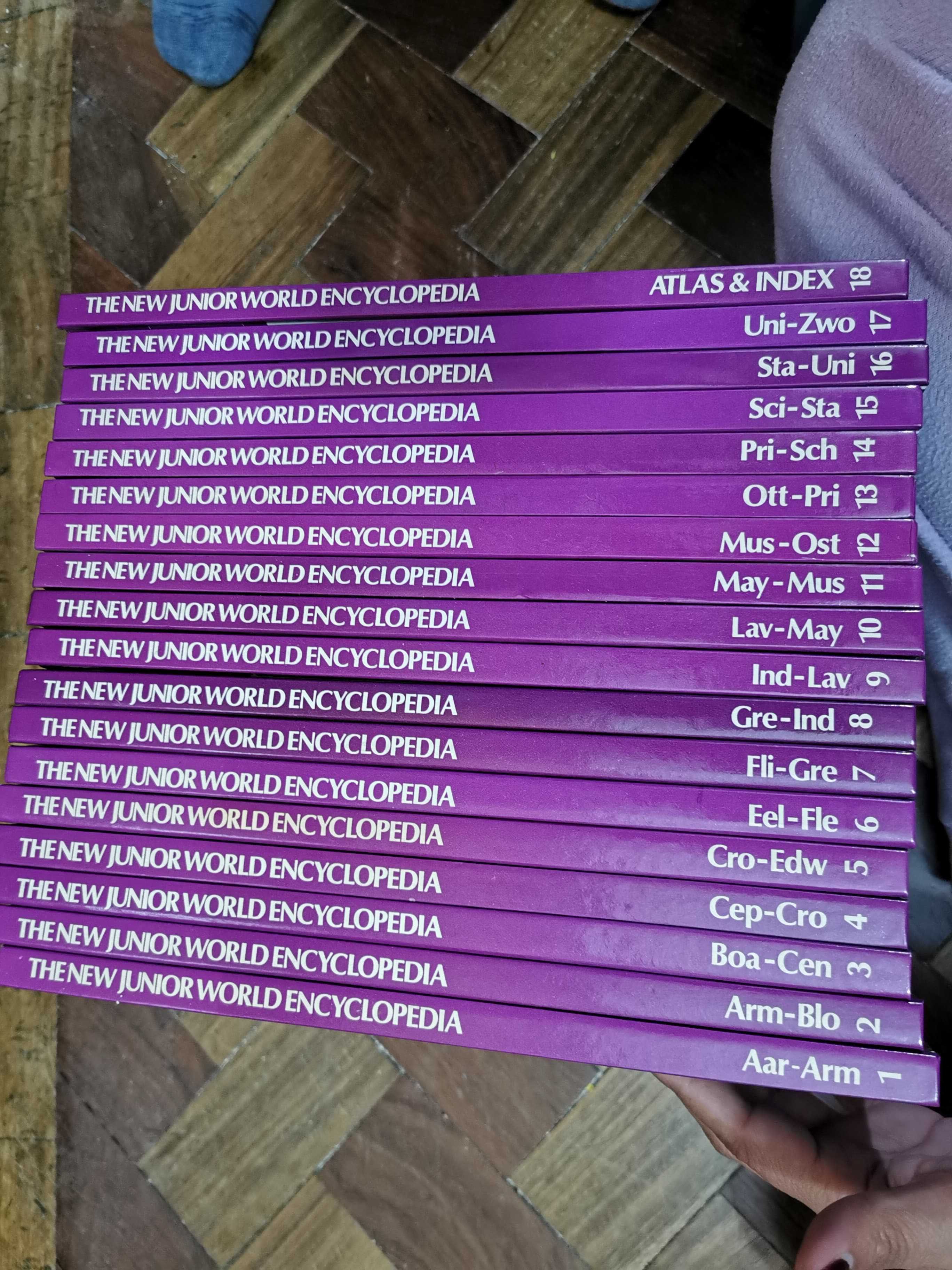 The new world junior encyclopedia (18 volumes)