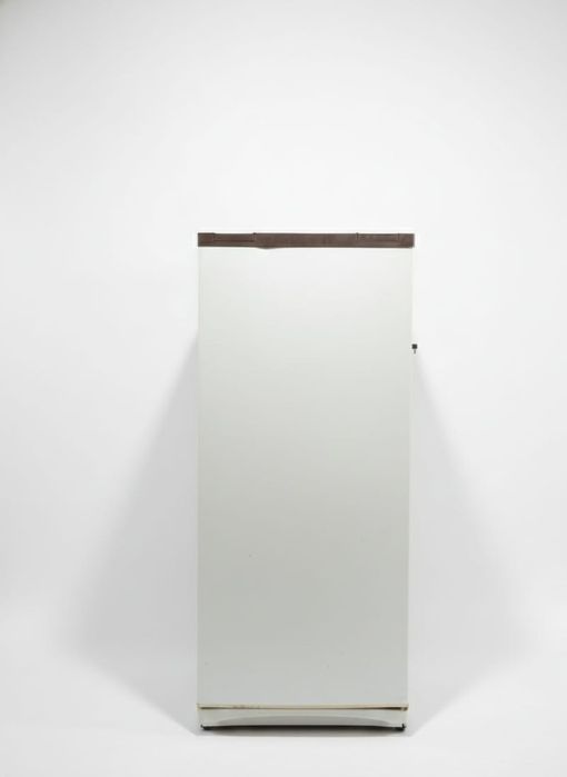 Продам холодильник snaige