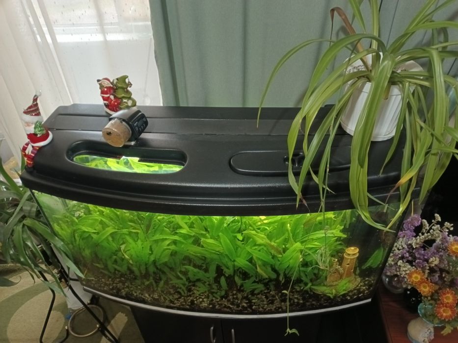Продам акваріум  з тумбой
