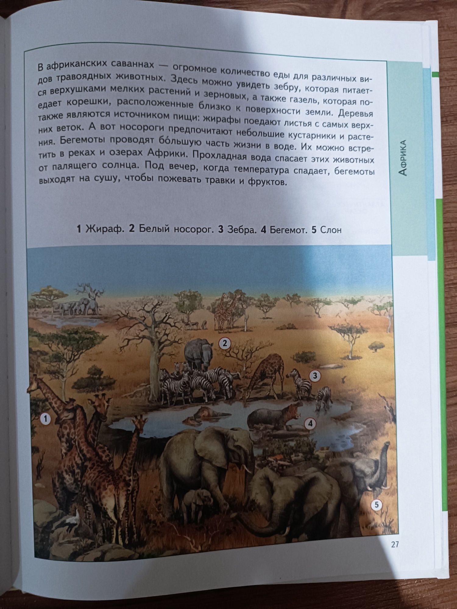 Энциклопедия животных, детский иллюстрированный атлас животные