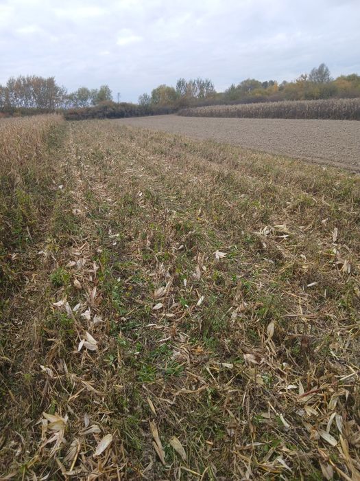 Продам комбайн Sip Tornado 80