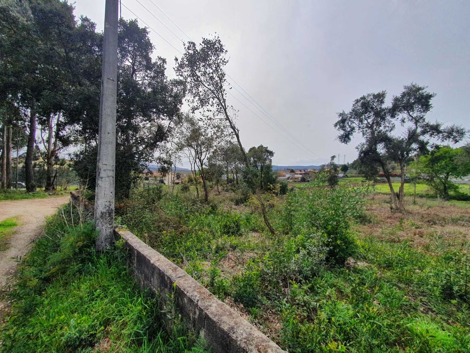 Terreno para Aluguer