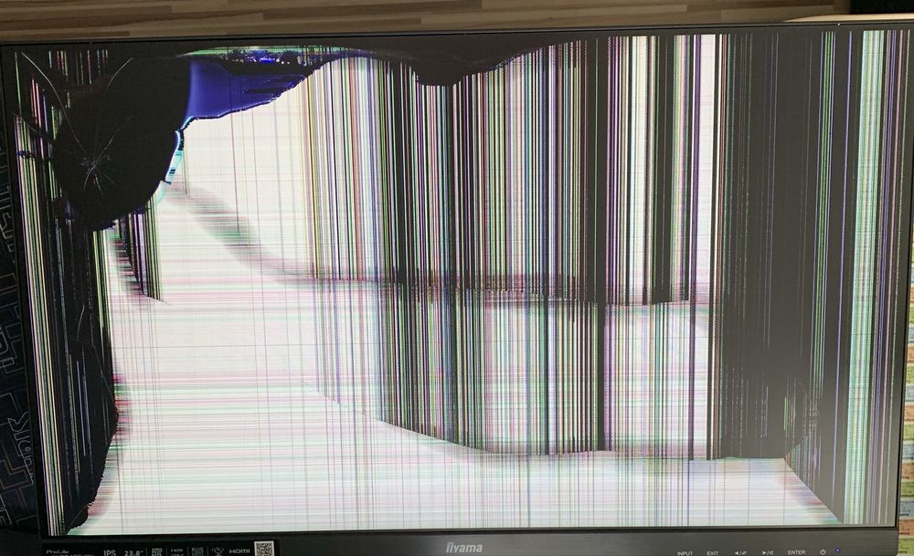 Monitor iiyama 24 PL2492HC z uszkodzną matrycą