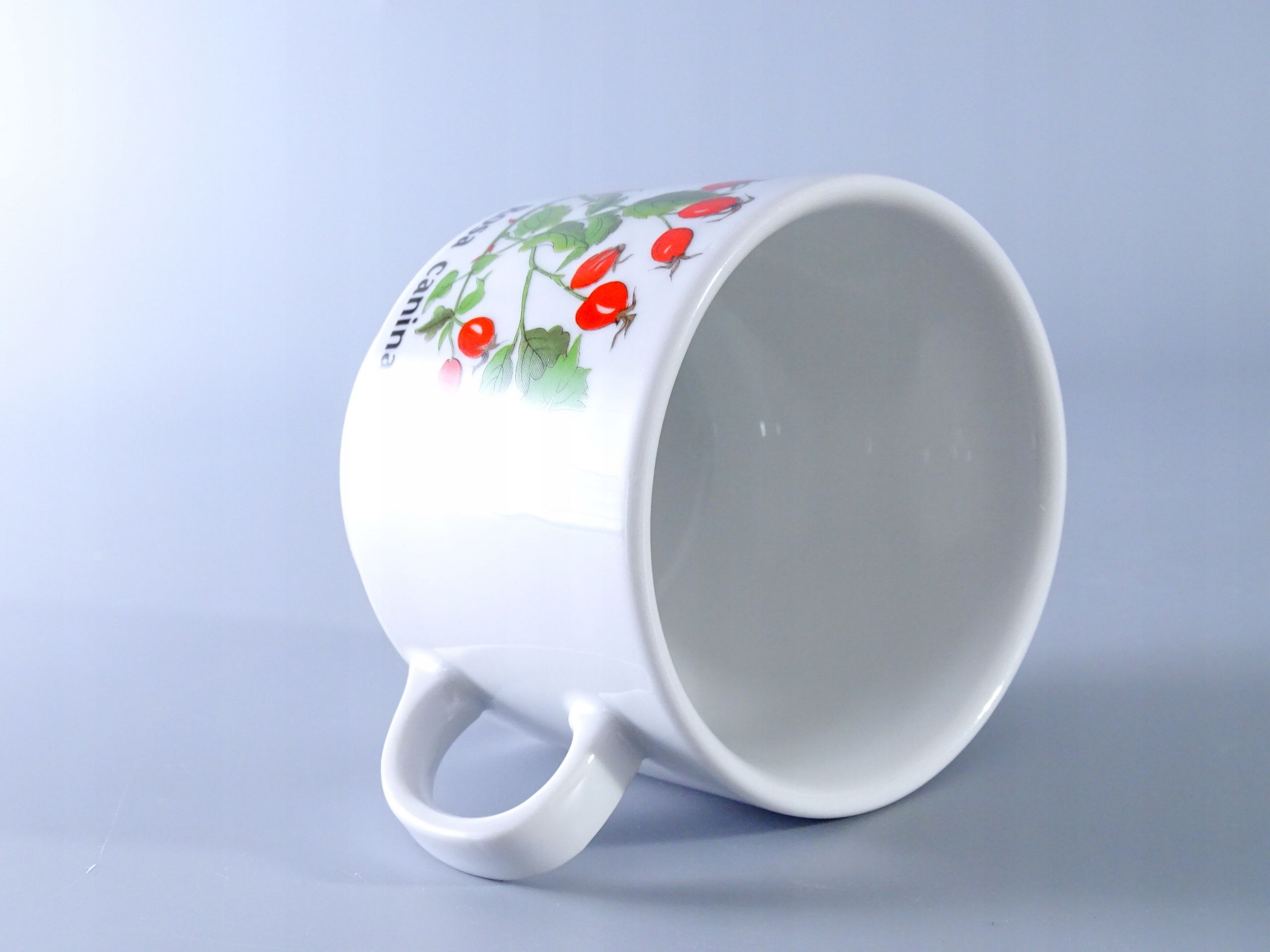 stary kubek porcelanowy dzika róża rosa canina