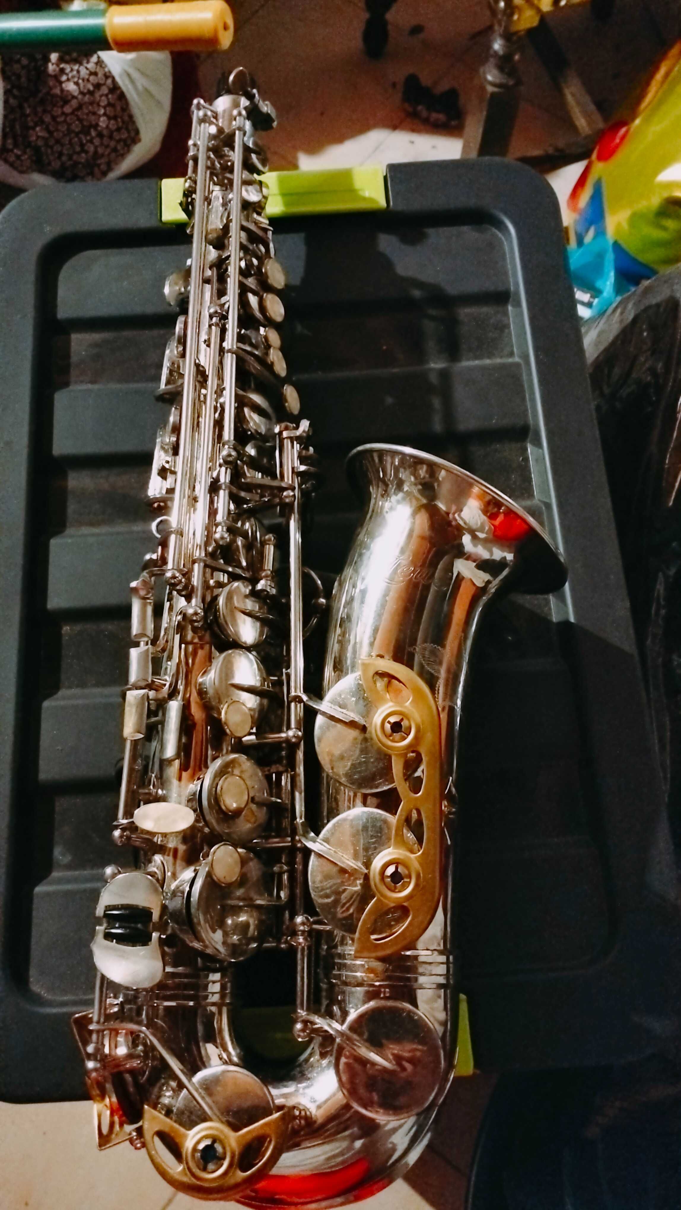 Saxofone Alto Zeus