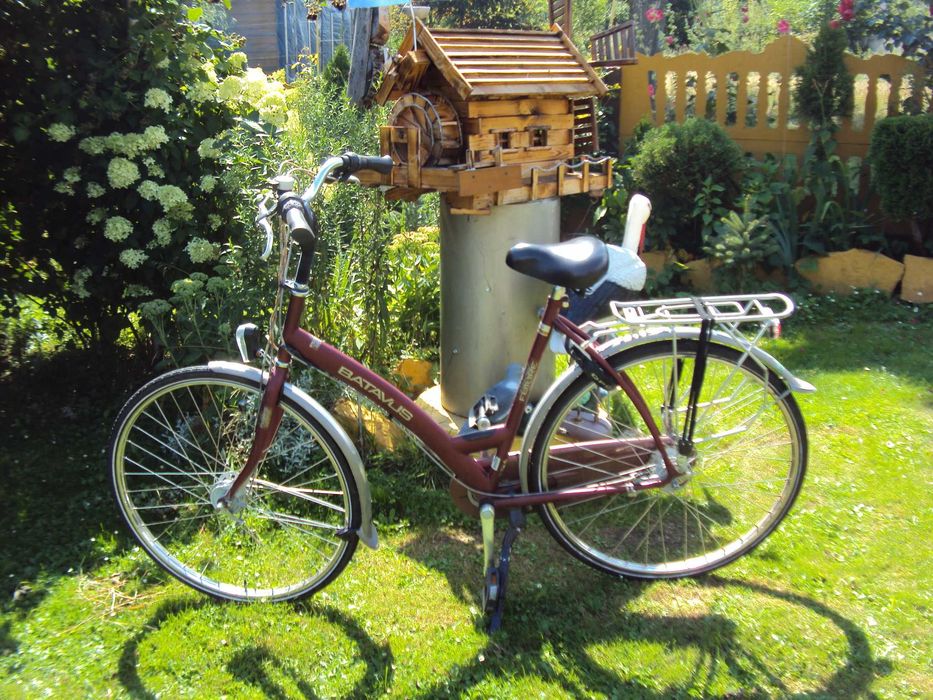 Rower holenderski Batavus