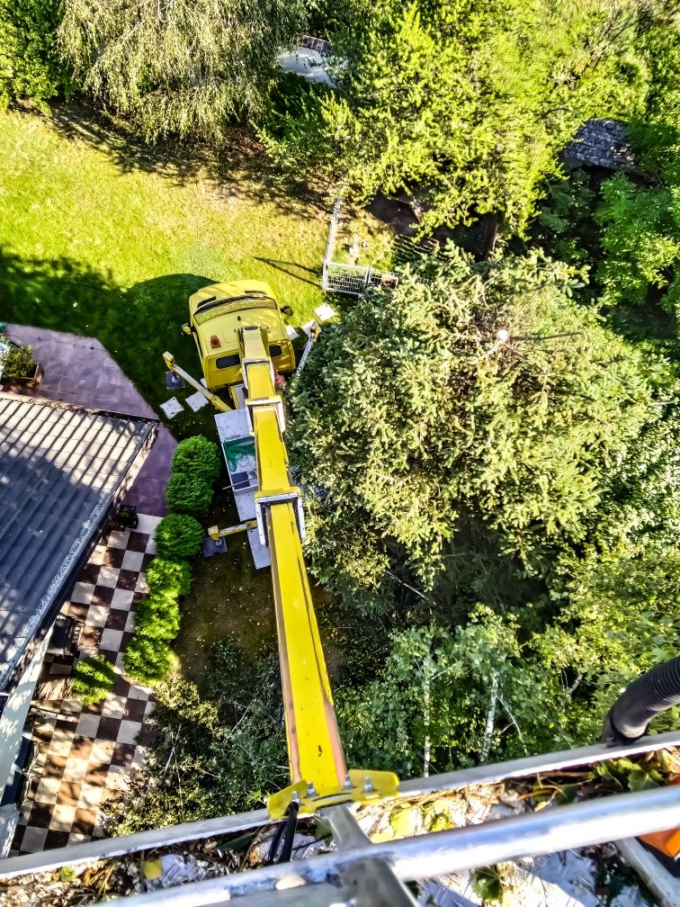 Podnośnik koszowy - wycinka drzew - frezowanie pni - rębak