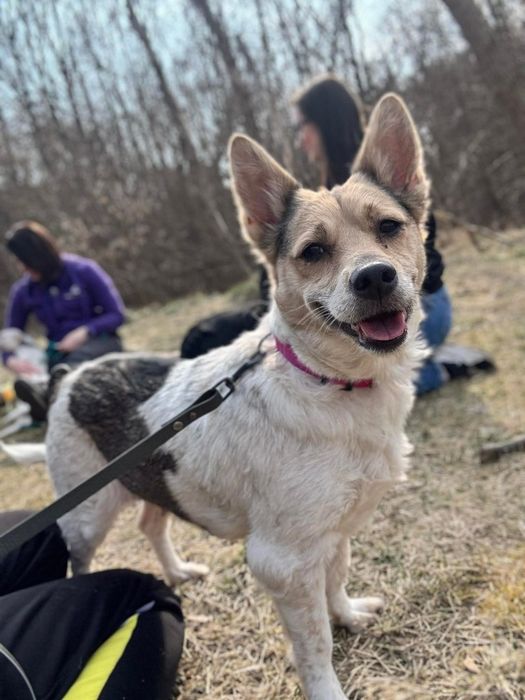Urocza Tosia czeka na Ciebie