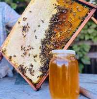 Домашнiй свіжий мед