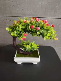 Drzewko bonsai Nowe różyczki czerwone