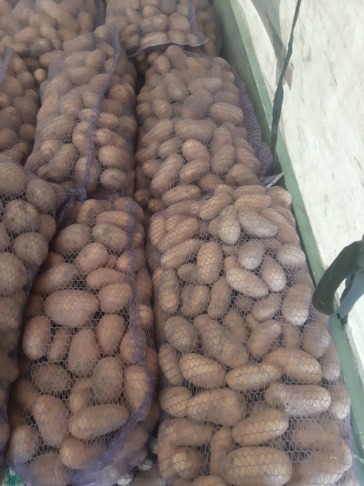 Продам картошку разные сорта