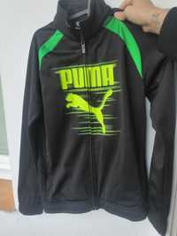 Bluza dla chłopca PUMA®️ original r 152, 11-12 L. Duże wyrazne logo