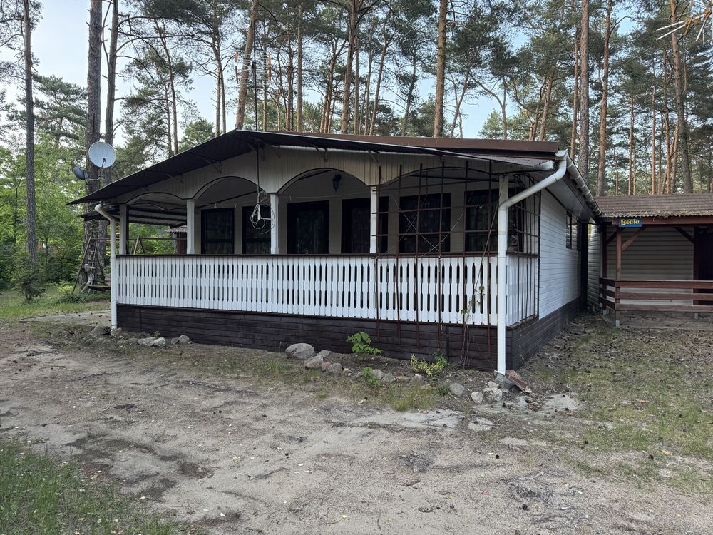 Domki 4-6 osobowe 2 pokoje / Centrum Sielpi - 200 m do plaży