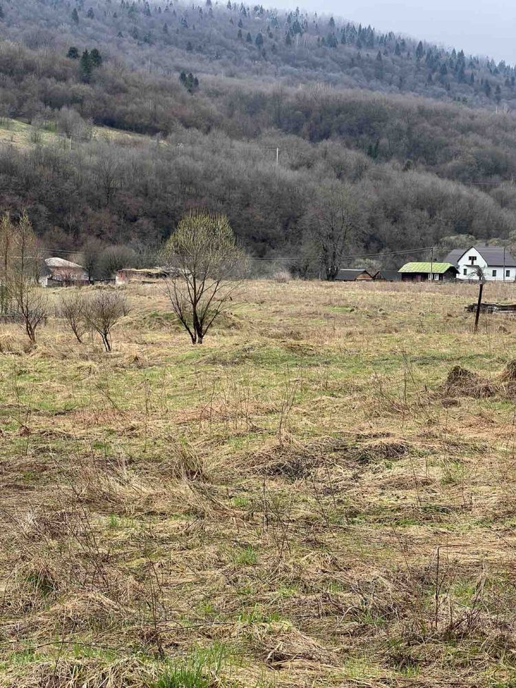 Продаж земельної ділянки село Урич Сколівського ОТГ