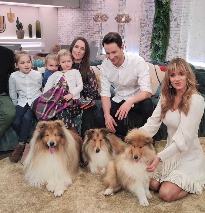 Sunia z hodowli In Pleno - owczarek szkocki ZKwP FCI - szczenię