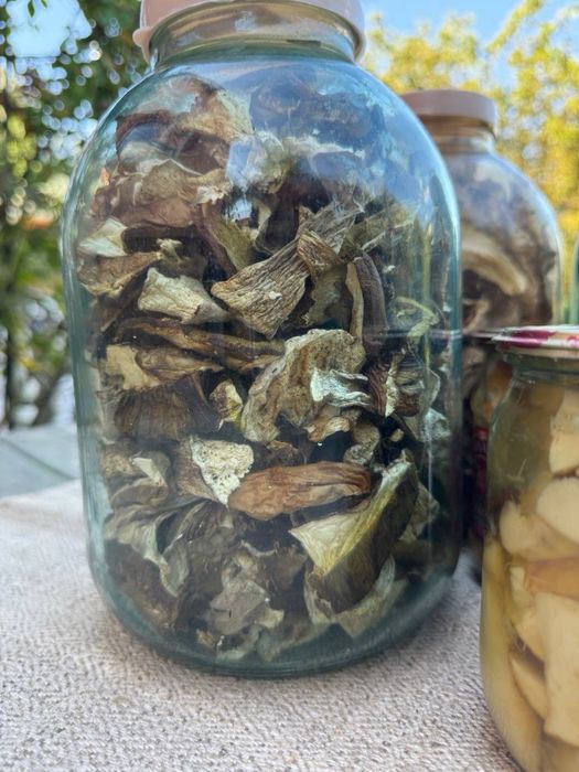 Білі сухі гриби та консервовані