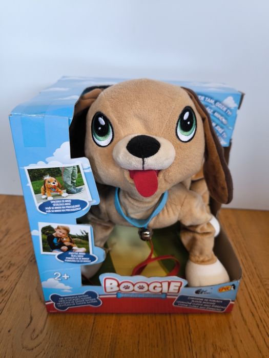 Pies Boogie Psi rozrabiaka Kundelek Epee Stan bardzo dobry