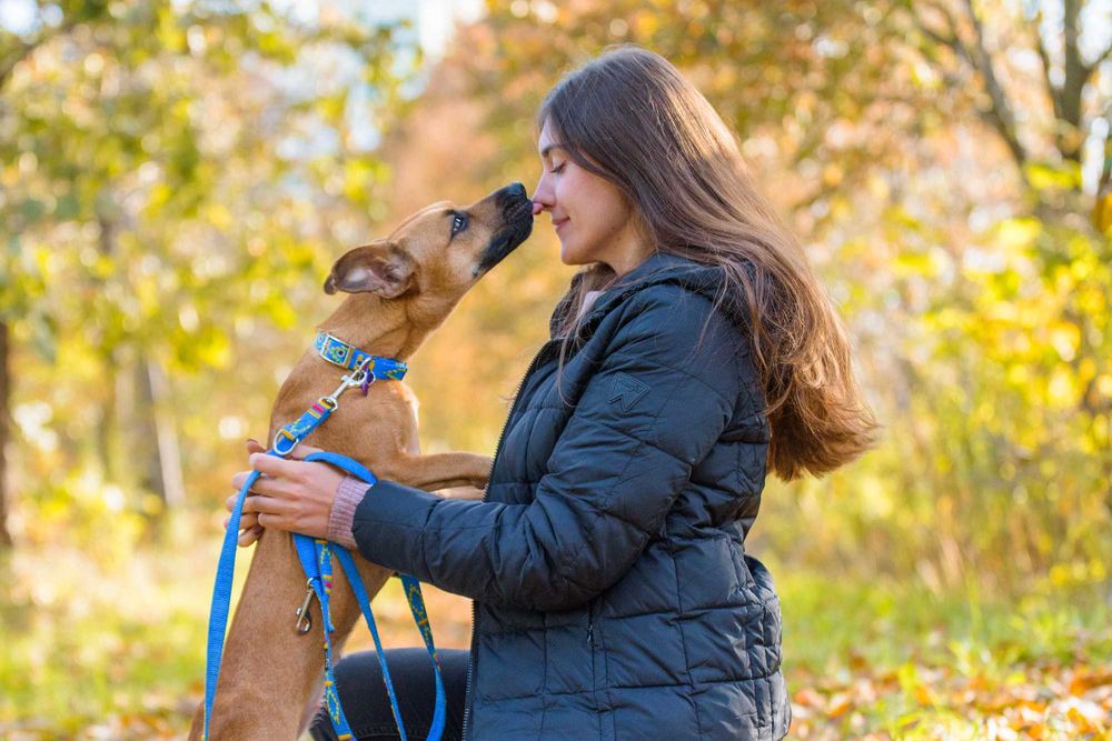 FREEKA - młodziutka, niewielka i milutka sunia