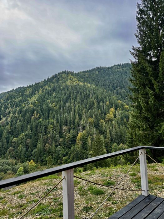 БУДИНОЧКИ В КАРПАТАХ | Королівське місце | ЧАН