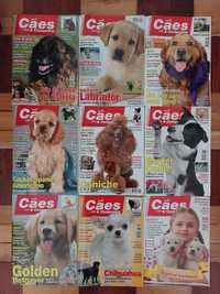 Lote 11 revistas + 2 edições especiais posters Cães & Companhia