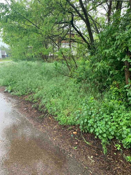 Продаю  земельну  ділянку 23 соток під будівництво (поблизу річки)