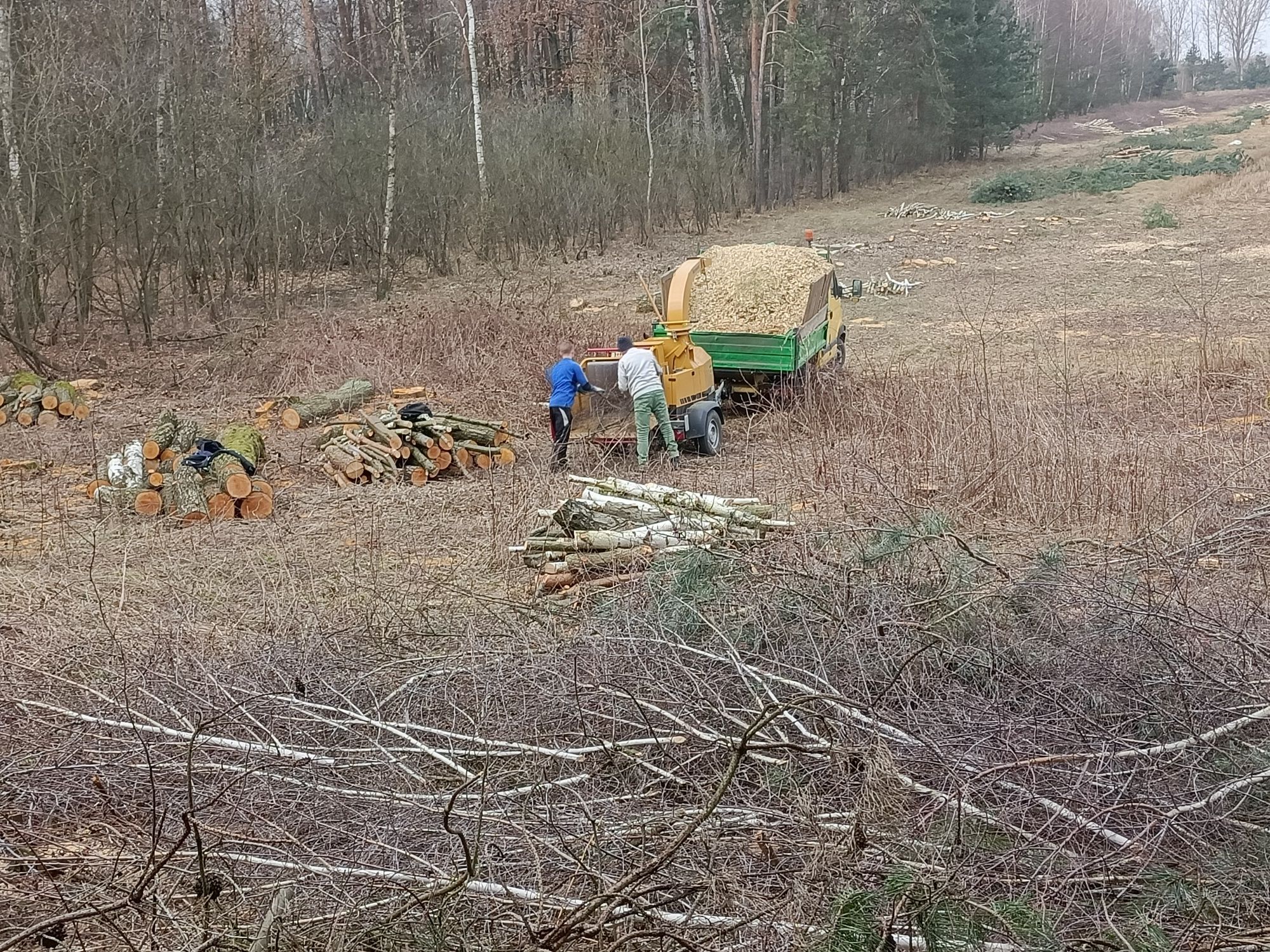 Usługi rębakiem mobilnym. wycinka zakrzaczeń.rębakowanie gałęzi rebak