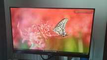 Monitor iiyama 27 cal 75hz 1080p PL2730H