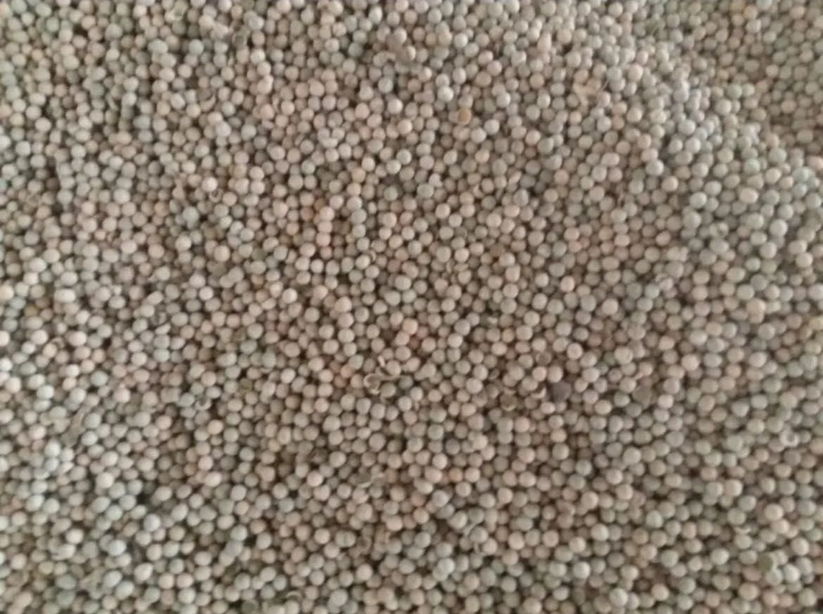 Пшеница, ячмень, овёс, жмых подсол/сои, отруби, прочие корма