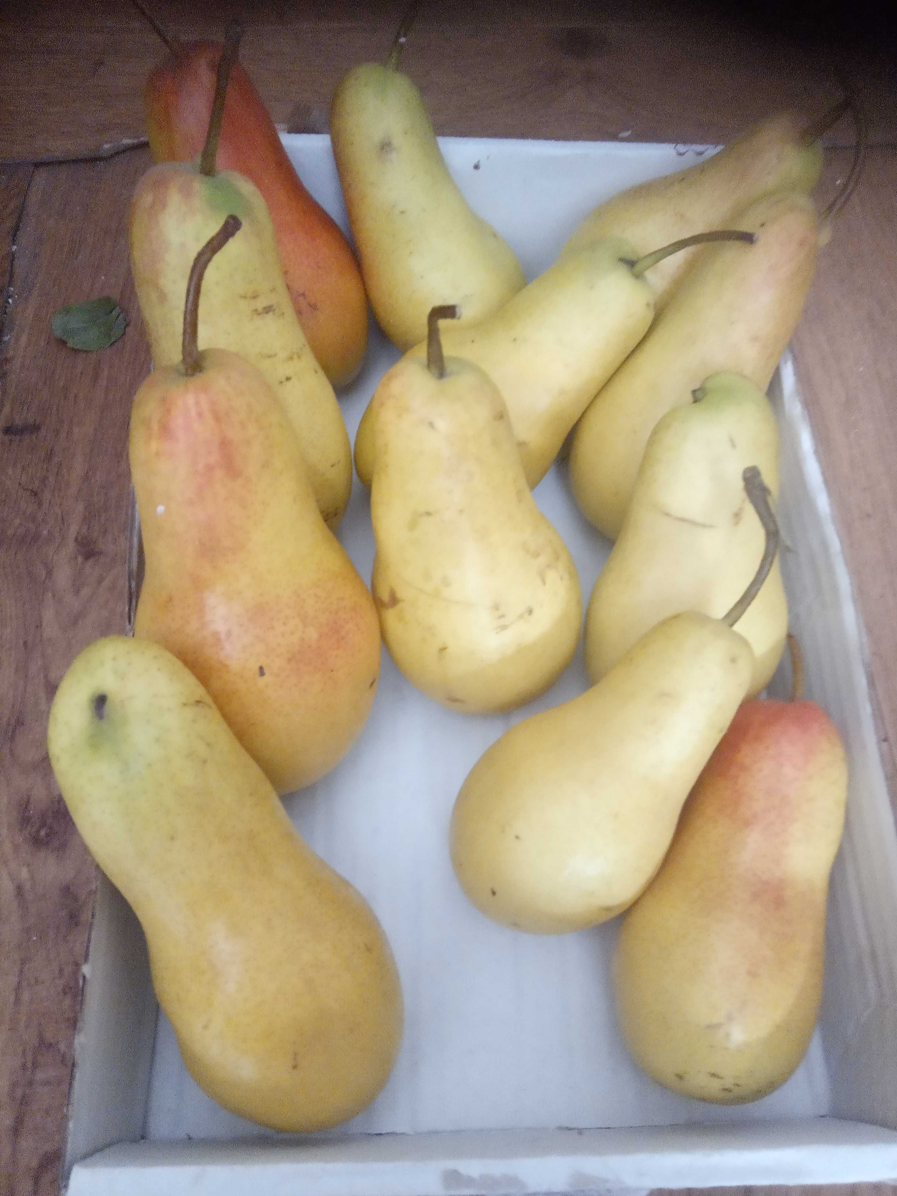 Продажа дома на дружбе