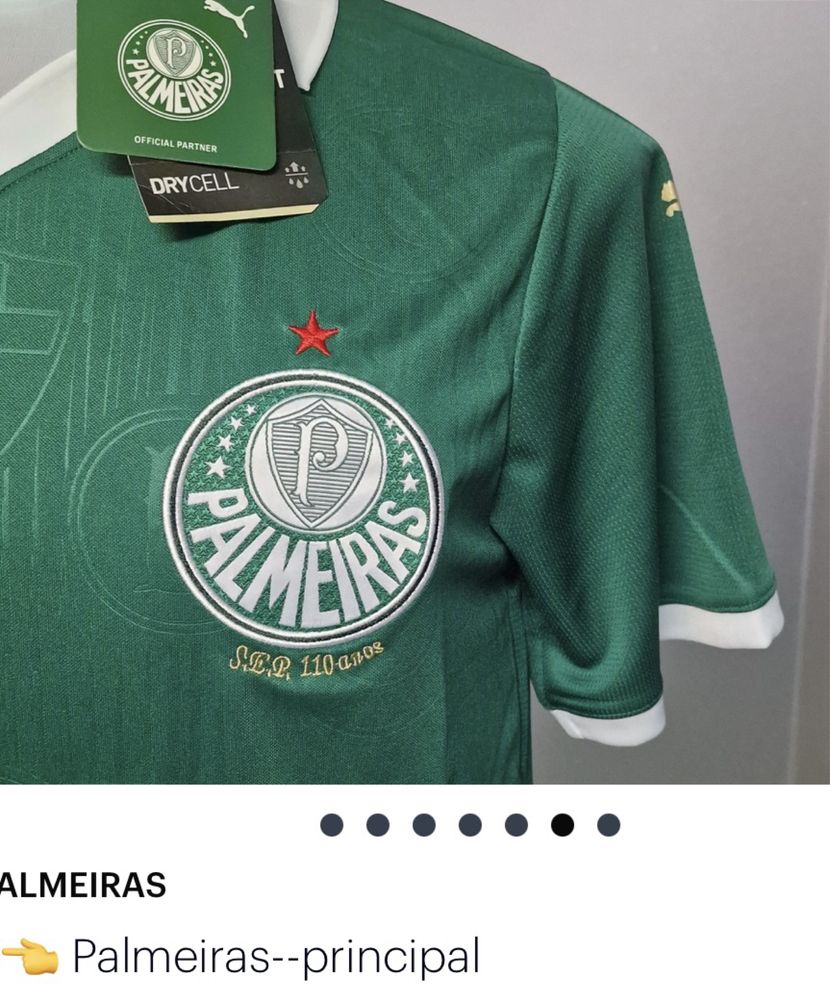 Camisola Palmeiras Paga 1 leva 2