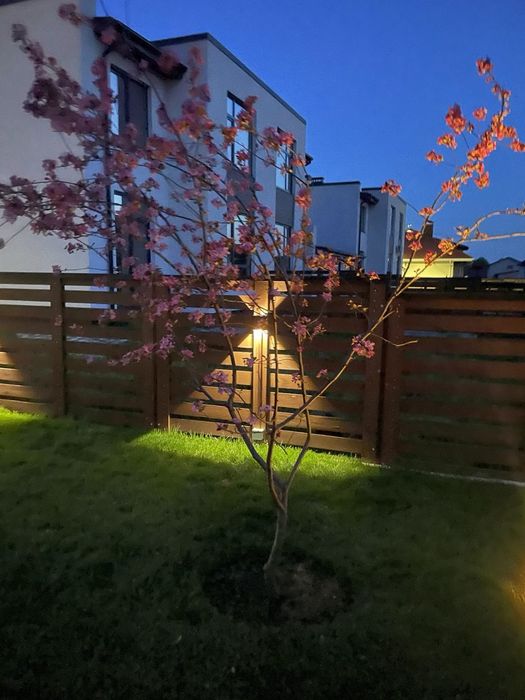 Продам газифікований будинок в бізнез КМ "Балатон". Нові Петрівці