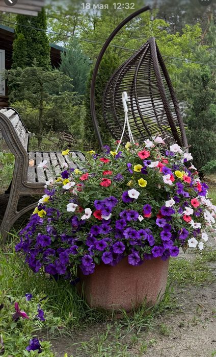 Номера подобово ( довготривало) оренда житла оренда альтанки