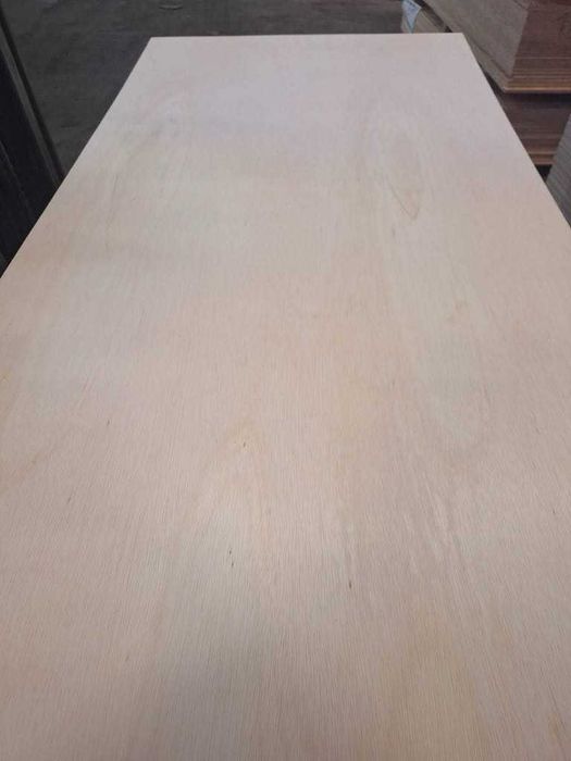 Sklejka lekka do kampera falcata 12mm 15mm 18mm 2440x1220