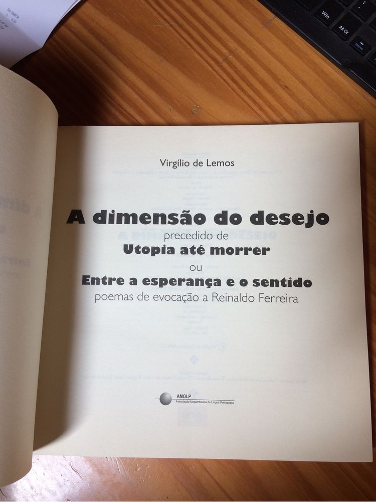 A dimensão do desejo de Virgílio de Lemos