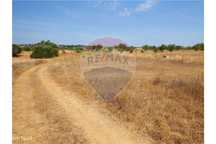 Terreno  para venda