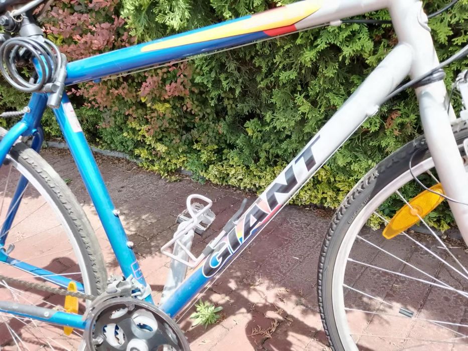 Rower Giant Cross K1