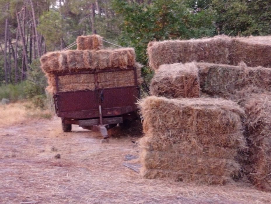 Vendo fardos a unidade