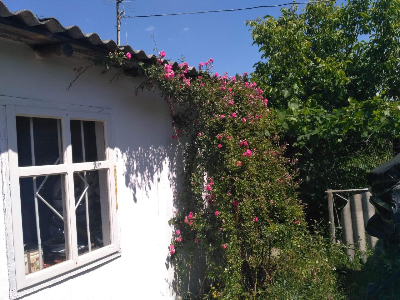 Продам дачу 12 соток