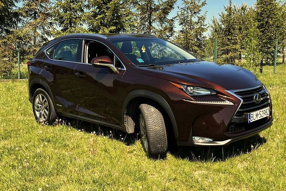 Lexus NX hybryda, 4WD, NAVI, serwis ASO, bezwypadkowy, kamera, OKAZJA !!!