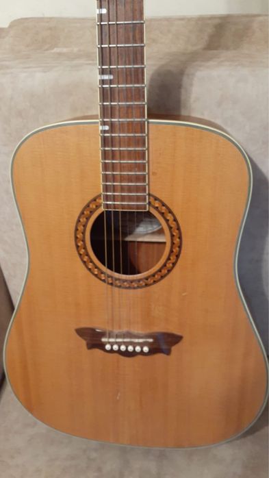 Акустична гітара Washburn (2009 рік)