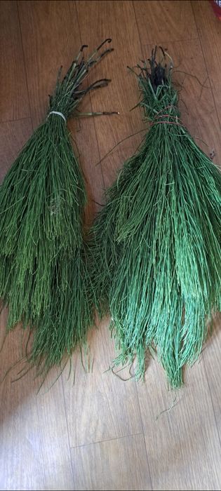 Świeży skrzyp polny z Warmii 2 kg dla zdrowia i urody