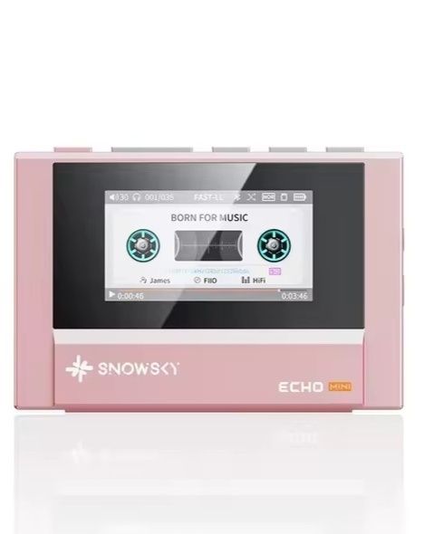 Fiio snowsky echo mini