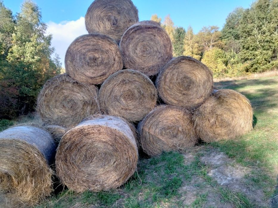 Sprzedam siano dobra jakość oraz siano na pellet