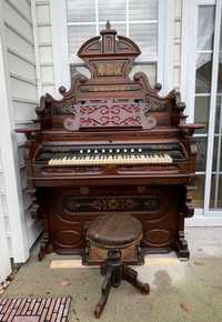 Órgão de Foles de 1880