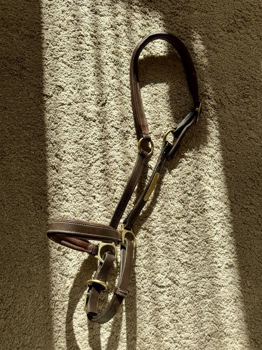 Skórzany grooming kantar Norton