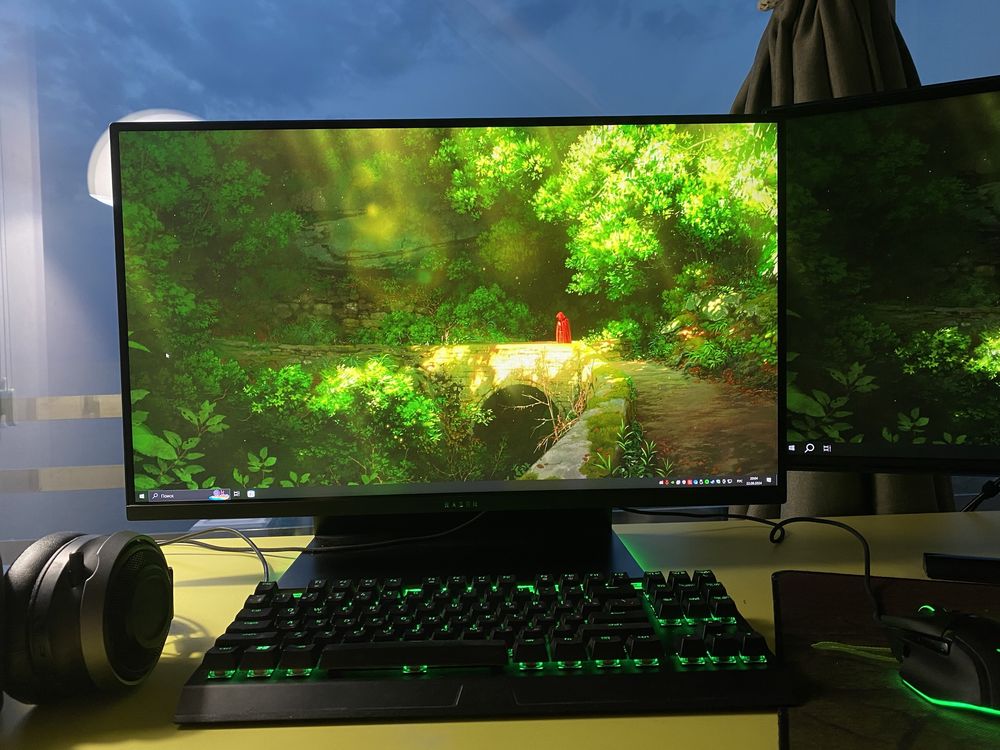 Монітор Razer Raptor