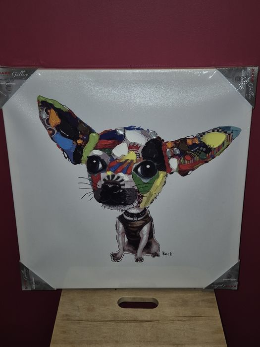 Obraz  Chihuahua  50X50 cm kolorowy