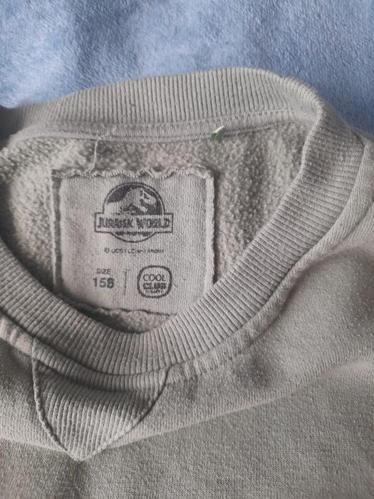 Bluza Jurassic World ze Smyka
