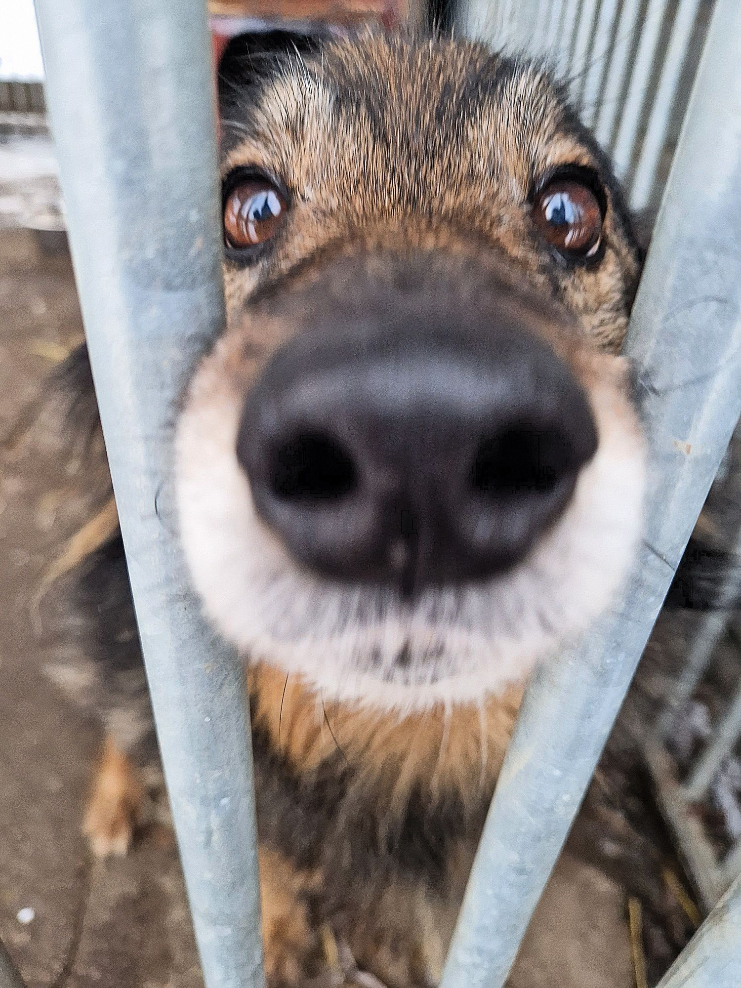 Takie kochane maleństwo a tak skrzywdzone