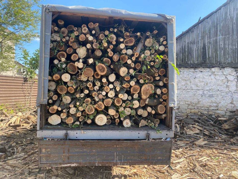 Дрова с доставкой!Смесь твёрдых пород! Оплата по факту 2 скм